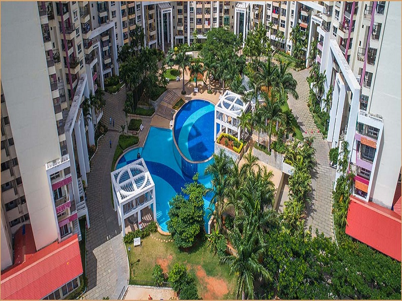 Purva Highland