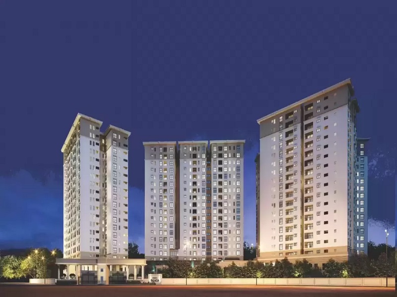 Sobha Gladiola